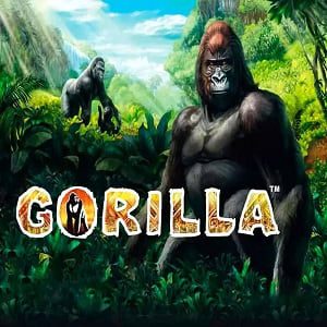 Gorilla Logo